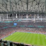 20221206_224542 Large