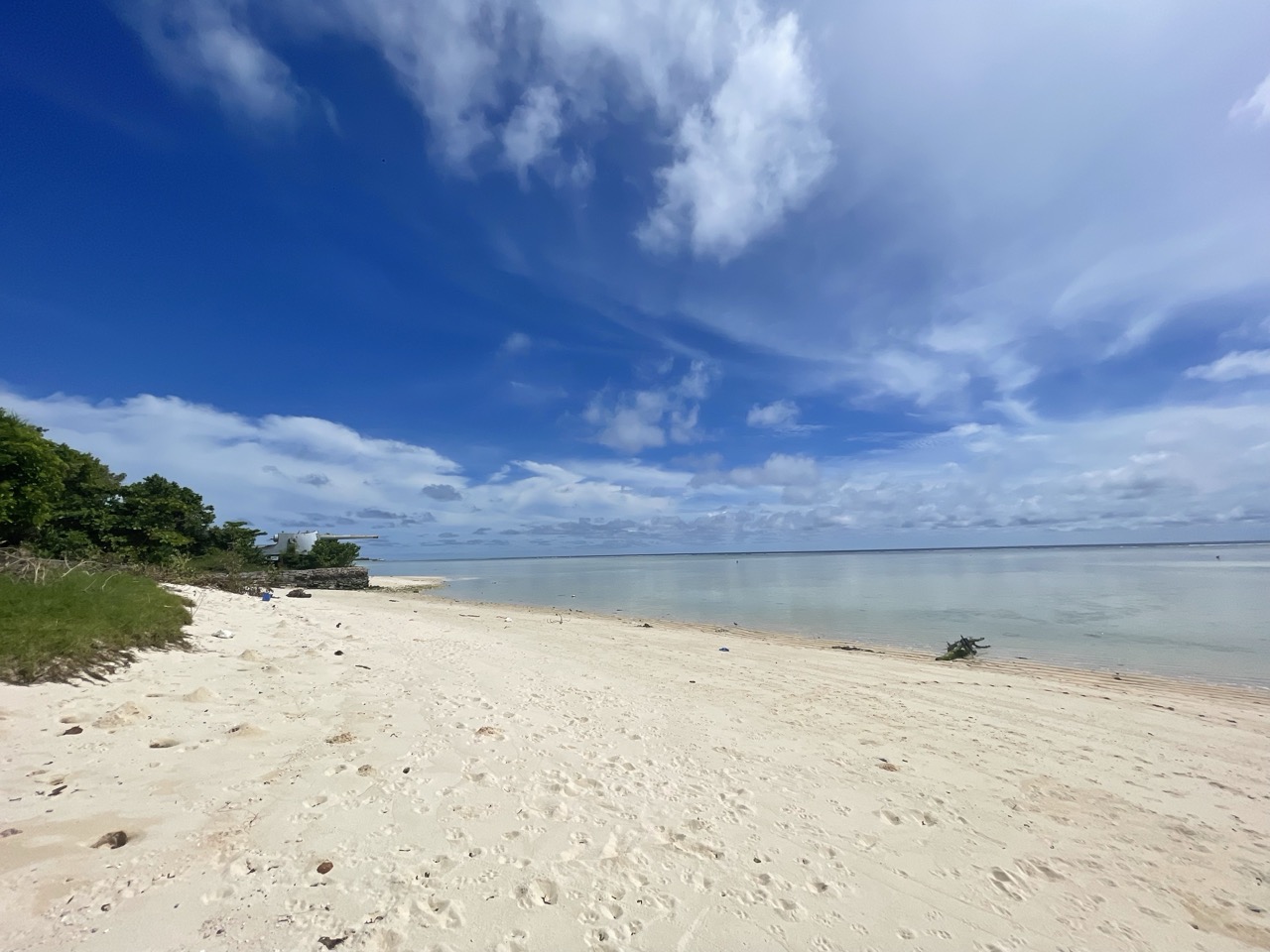 a beach with trees and water