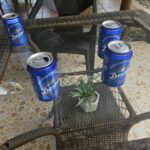 20231031_121047 Large