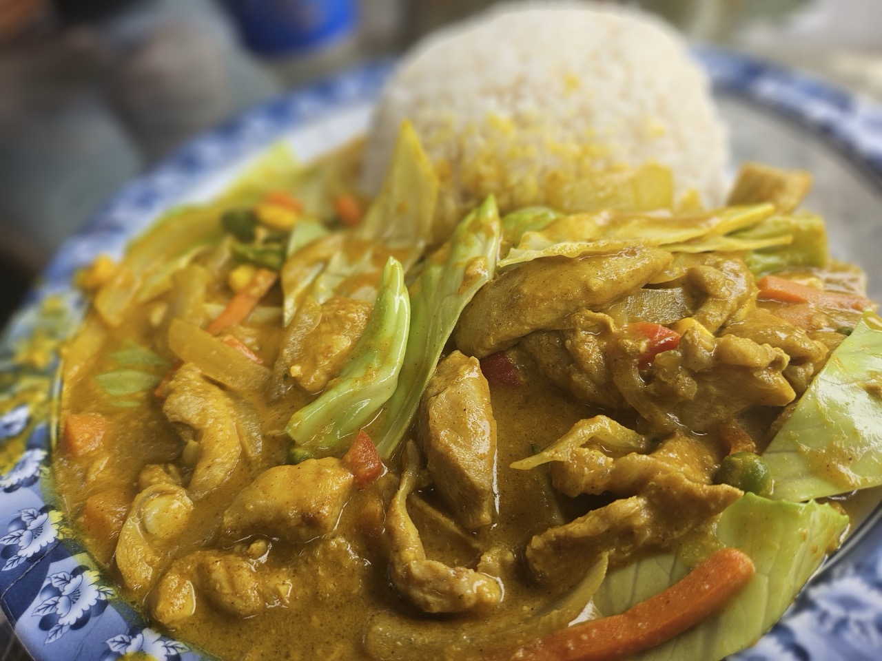 a plate of food with rice and meat