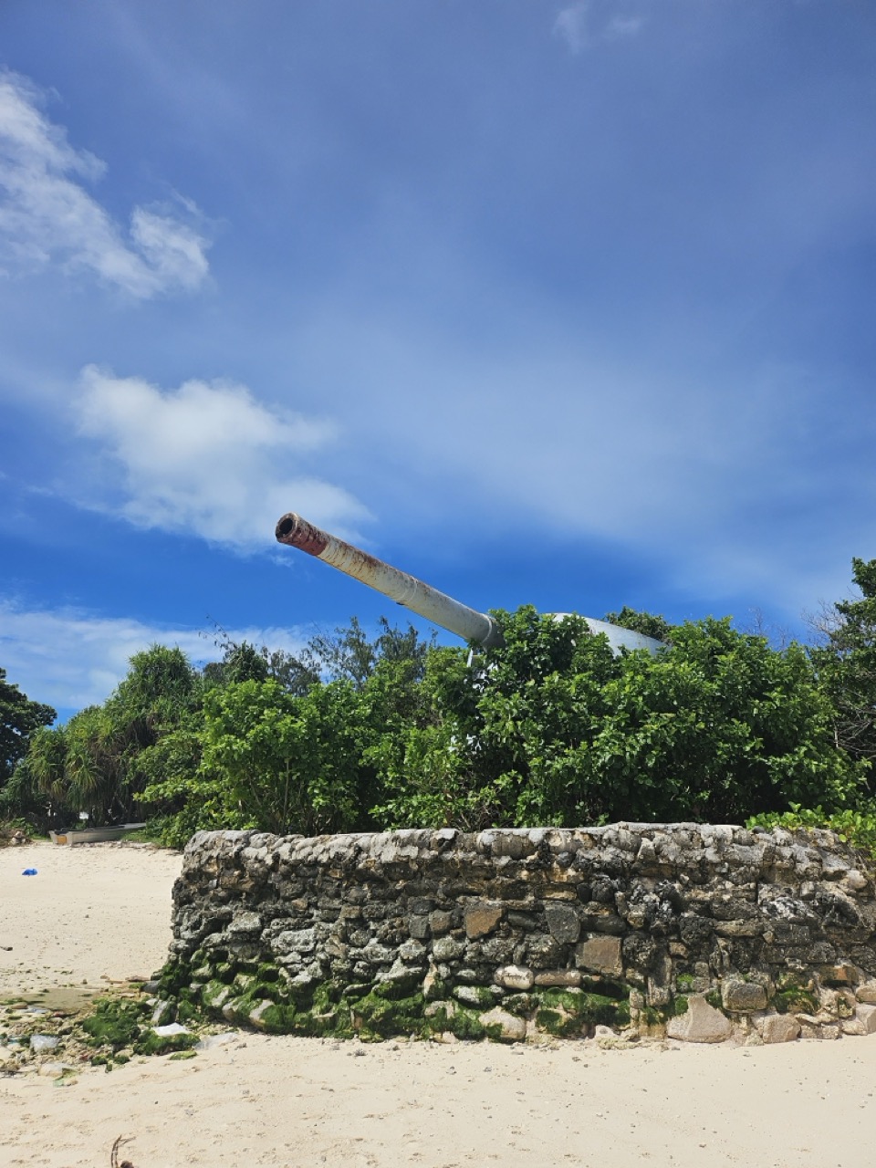 a cannon in the bushes