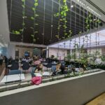 PXL_20230417_222850393 Large