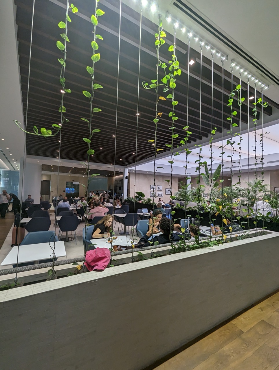 people sitting at tables in a room with plants from the ceiling