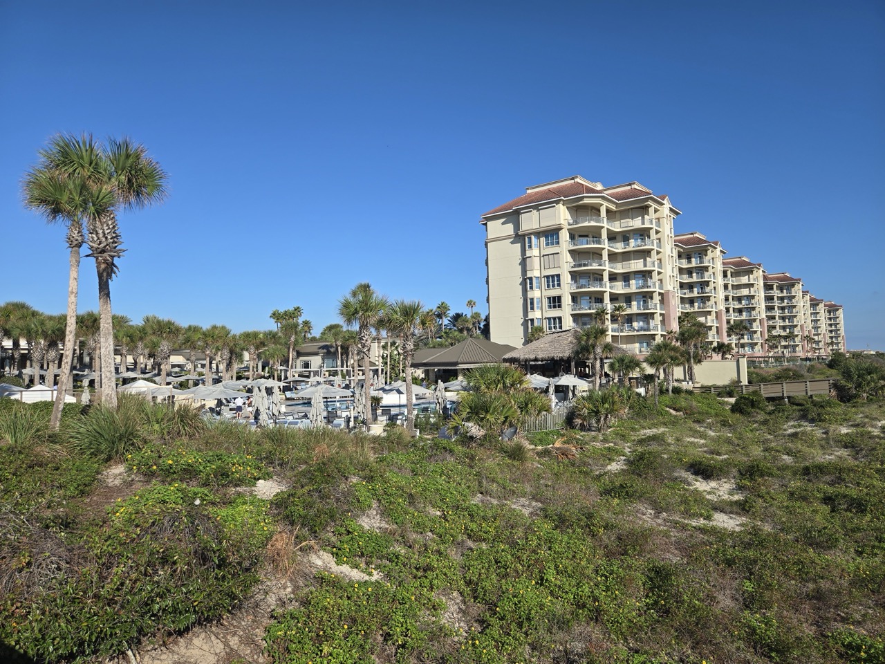 a tall building with palm trees and grass