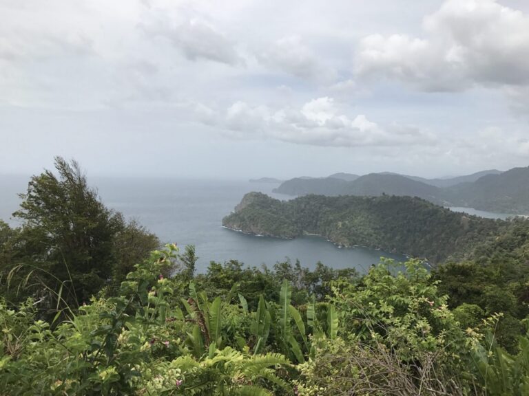 TPOL’s Out of the Office: Where Could I Be?